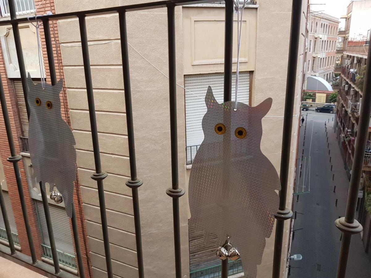 Apartamento Los Buhos 무르시아 외부 사진