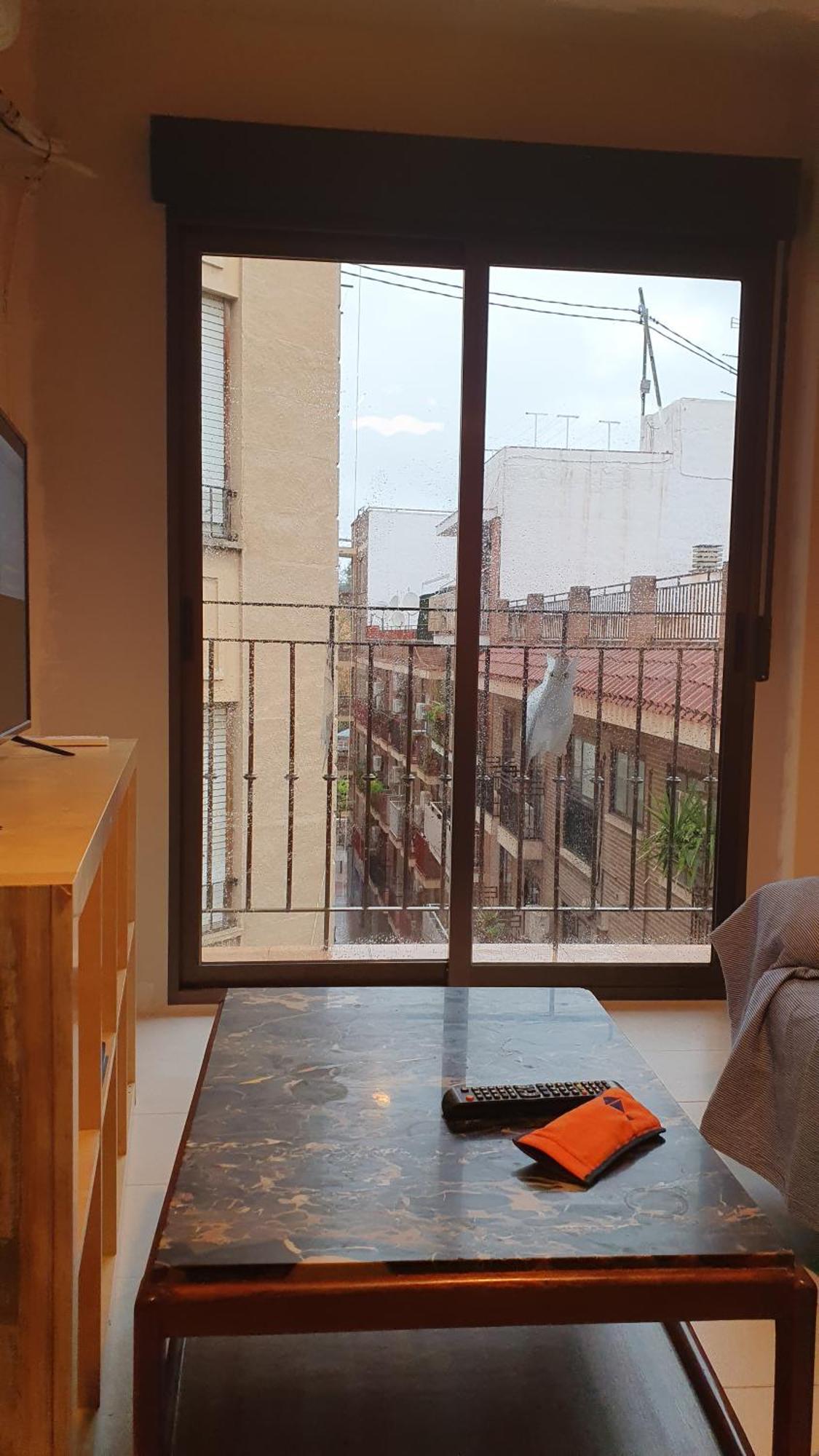 Apartamento Los Buhos 무르시아 외부 사진